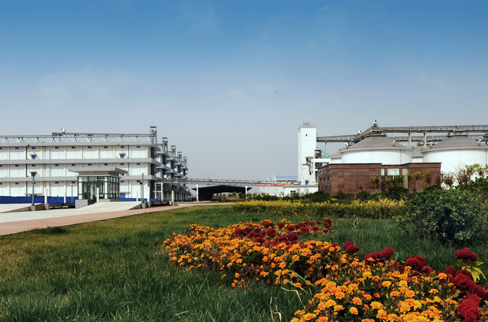 靜海利達(dá)糧庫(kù)